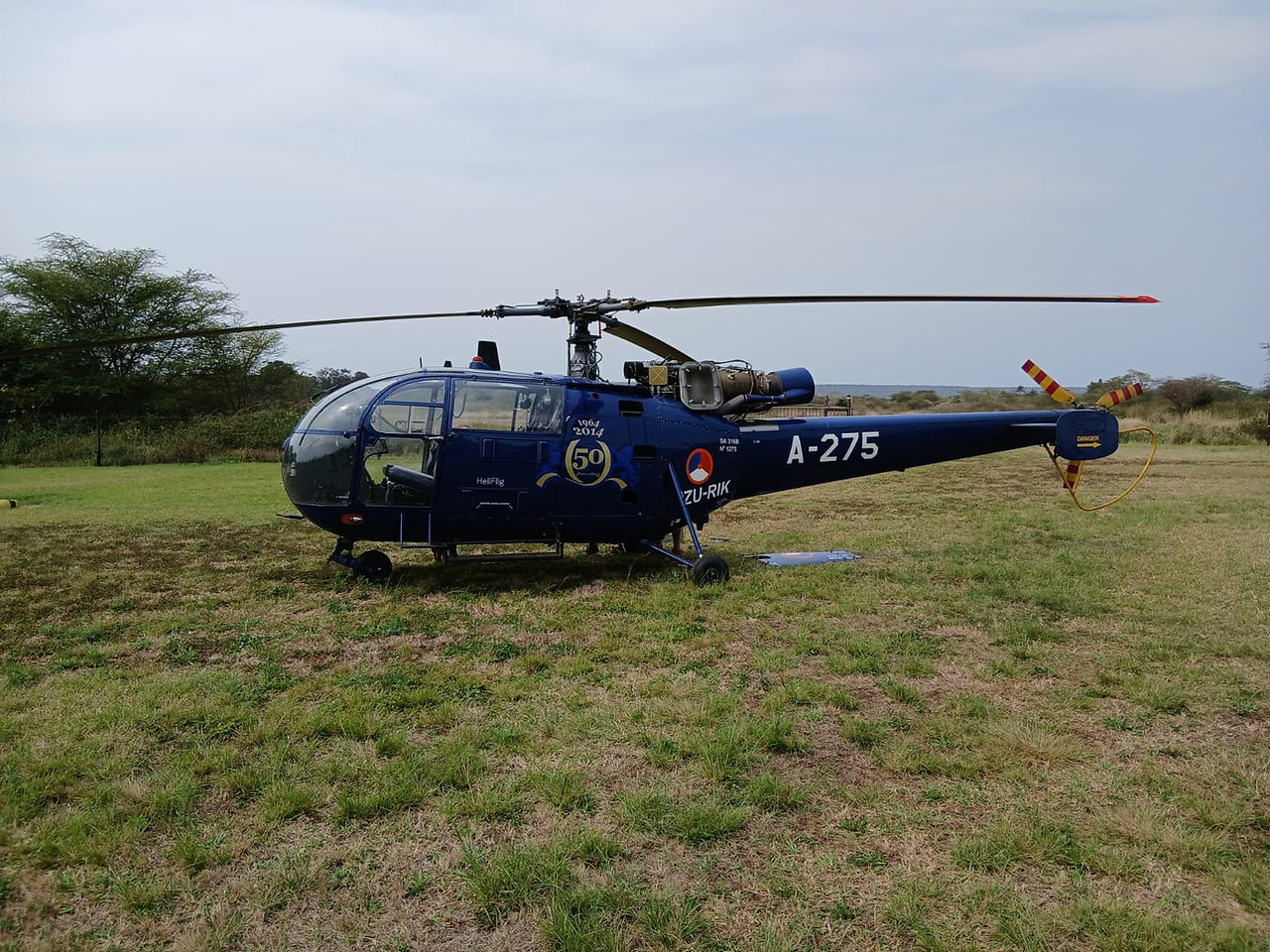 Alouette III helicopter flying low over Zululand bushveld during the 2025 vulture breeding survey mission.