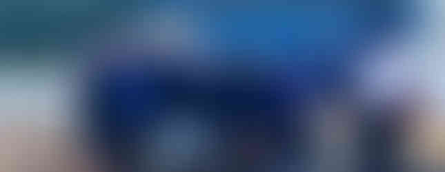 Bateleurs seal penguins uShaka Marine World to Bayworld Oceanarium PE -01