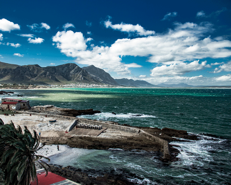 cape-car-tours-custom-car-tours-hermanus-overberg