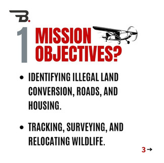 The Bateleurs Flying for the Environment Impact