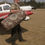 Thumbnail: The Bateleurs Balsak – Sak Up, South Africa (72L/19USGallons)
