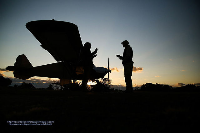 bateleurs-phinda-rhino-dehorning-mission