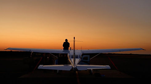 Tuli elephant count aircraft and pilot in bushveld