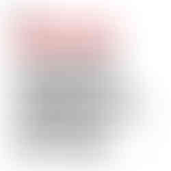 The Bateleurs Flying for the Environment Impact