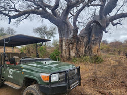 Lens and Latitude - Big 5 to Cape coastlines 02