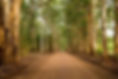 Drive into Marima Cottages
