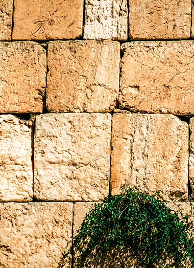 Presentation (16_9) 1920x1080 px-2.png