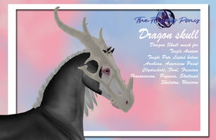 The Flying Pony - Dragon Skull