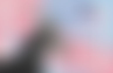 The Flying Pony - Dragon Skull