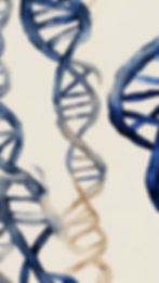 painted DNA strans