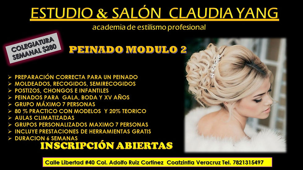 PEINADO2