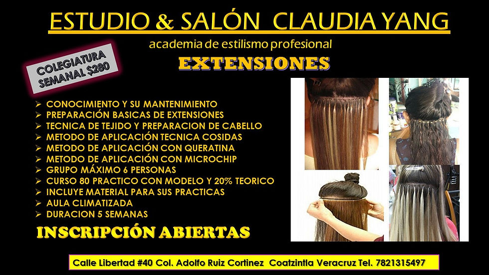 EXTENSIONES