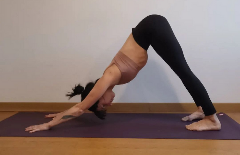 COURS DE YOGA A FONTENAY AUX ROSES