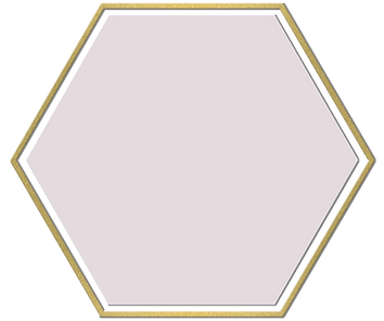 PinkHexagon.png