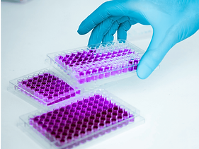 Culturon Ai Plasma Aurora Images (6).png