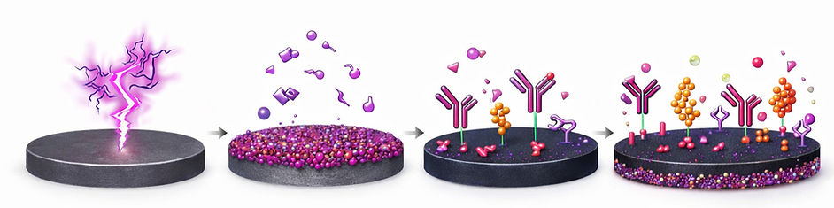 How plasma-activated coatings enable biomolecule immobilisation