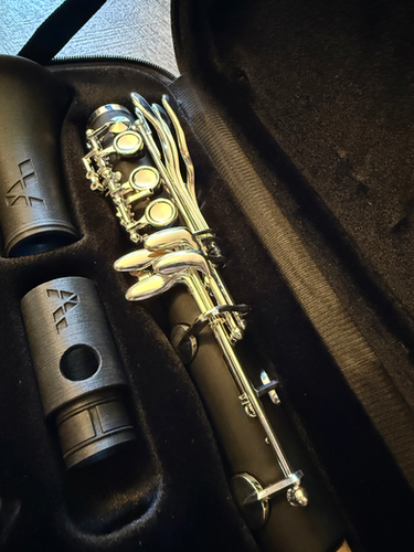 Pereira Custom 3D Wood/Hard Rubber Bb Clarinets (Plateau Keys