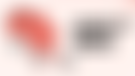 北アフリカにおける若年労働力の現状と、グローバル採用における可能性