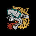 Supercopa Alto Vale de Velocross: Desenho tigre com oci=ulos de cross