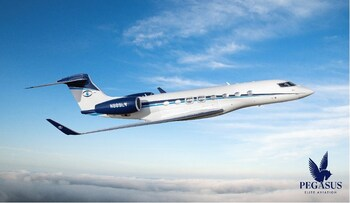 Pegasus Elite Aviation