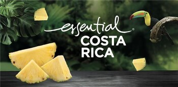 Costa Rica: the world's #1 pineapple exporter and a producer of wellbeing