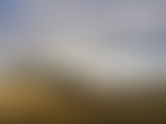 BAE Systems awarded $500 million contract for Paladin Self-Propelled Howitzers