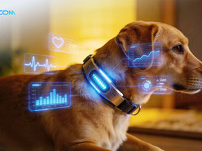 Pet Tech Revolution: MQ771-GL Redefines Smart Pet Collars