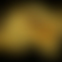 Pile of gold consisting of gold bars and gold coins  