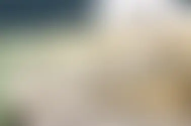 IRS Tax Refund Graphic