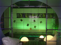 Designer Day juin 2006 009