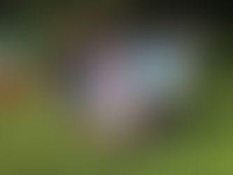 Herren 40 II Aufstieg