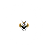 LOGOTIPO ESCOLA PSIMBOLOM escuro público(26).png