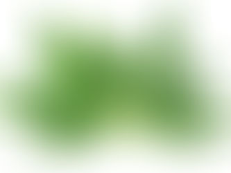 新興投資熱 - 大麻  