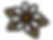 Daisy colour.png