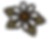 Daisy colour.png