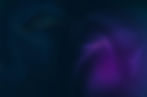 dwdw3.jpg