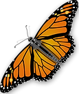 1220545287120708193jimmiet_Monarch_Butte