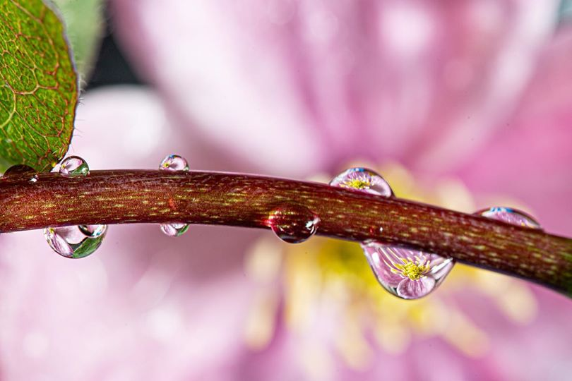 Philswaterdroplets.png