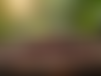 Beneficios del café especial colombiano para tu salud