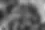 IMG_0153_edited.webp