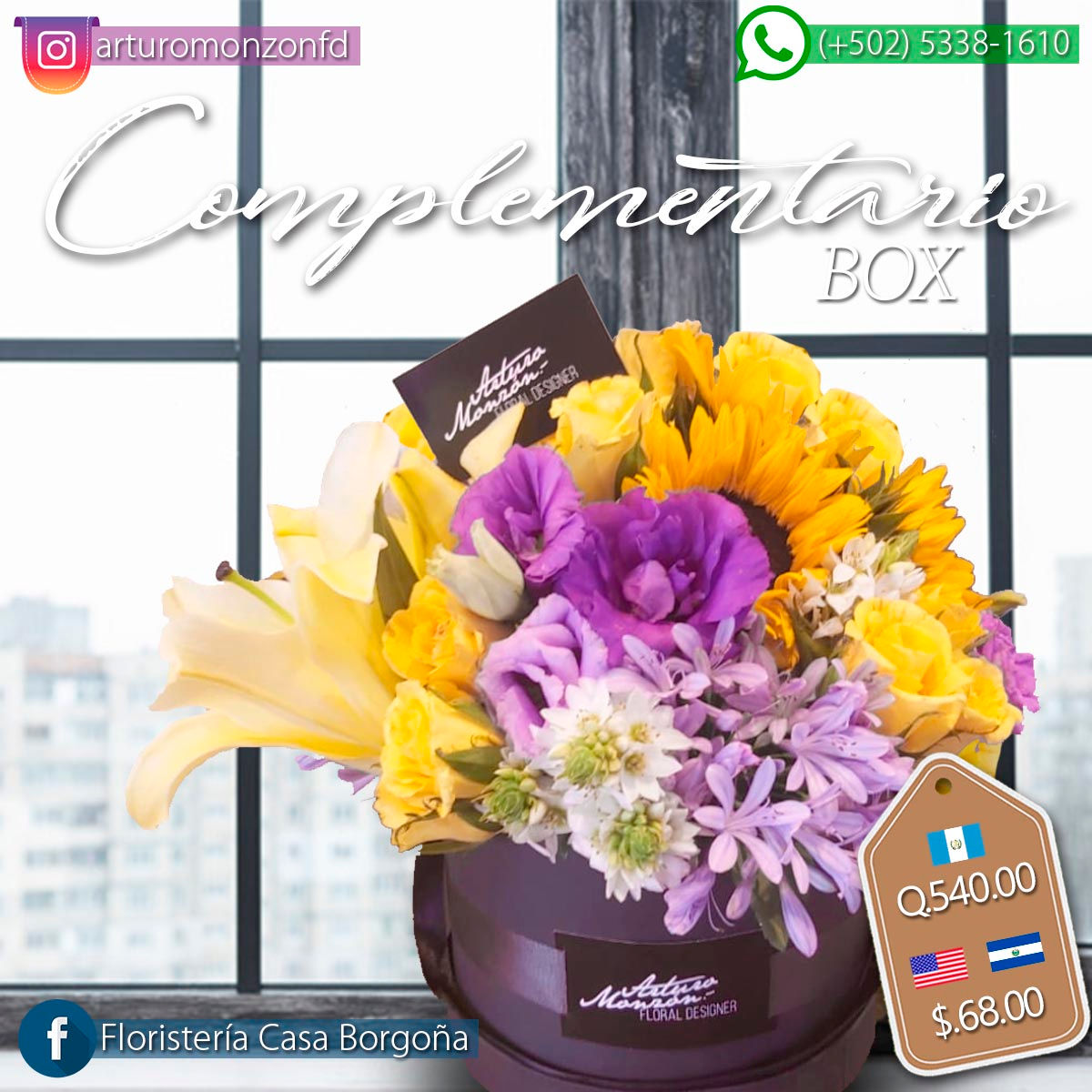 Complementario Box