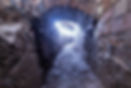 ree