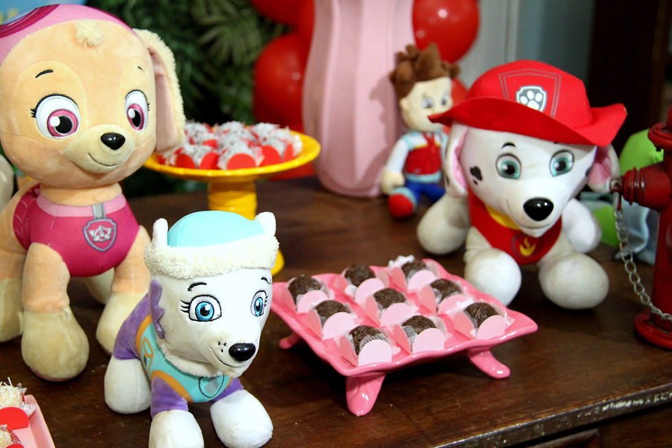 Em Foco: Aniversário Melissa