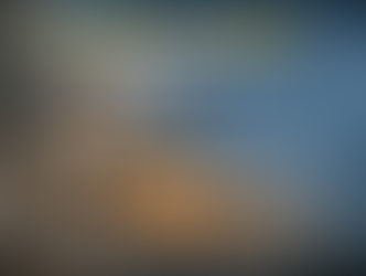 Animais abandonados: um problema antigo e sem prazo para solução em Jardinópolis