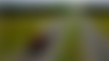 Governo de SP cria site com informações sobre as estradas para caminhoneiros