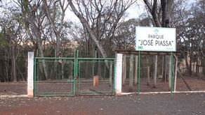 Bosque Municipal completa 7 anos