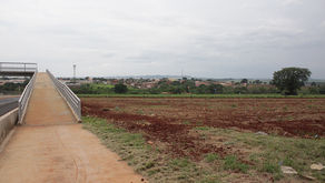 Mau cheiro incomoda e preocupa moradores de diversos bairros de Jardinópolis