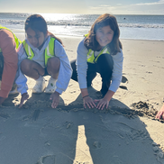 Year 6 Beach School