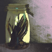 bocal vanille-collec natures.jpg