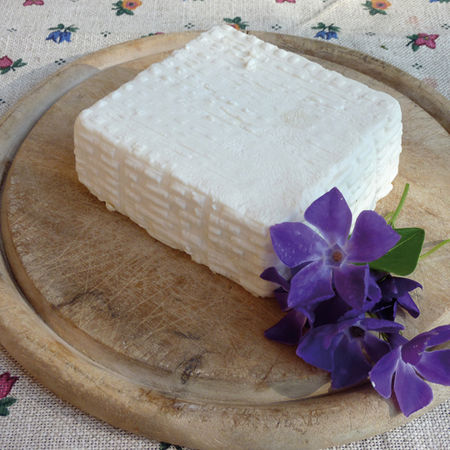 Stracchino di capra.jpg